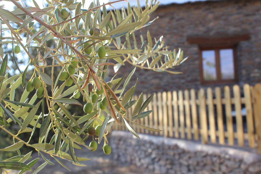 Dreams Alpujarra Apartment Pampaneira Exterior photo