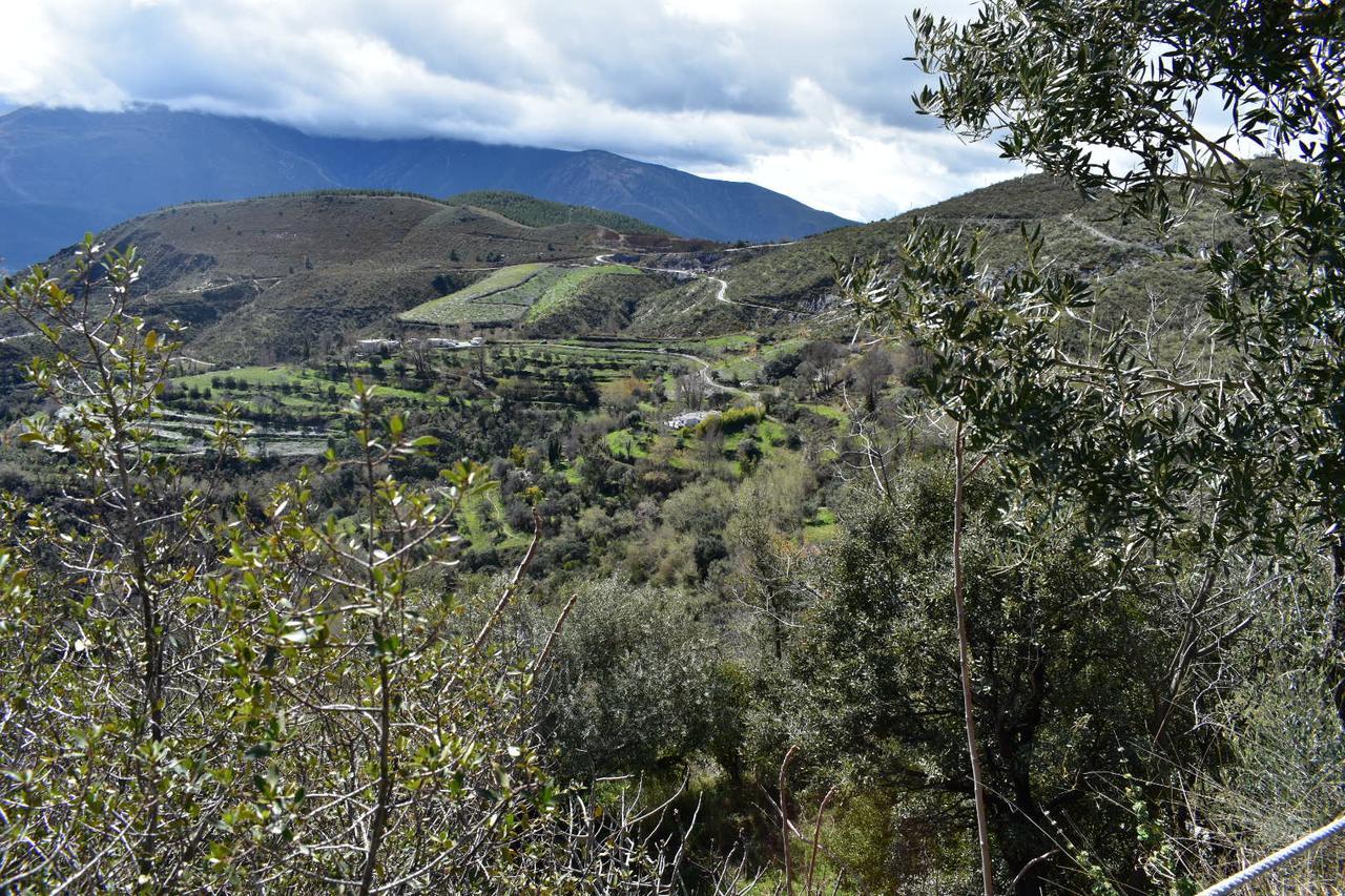 Dreams Alpujarra Apartment Pampaneira Exterior photo